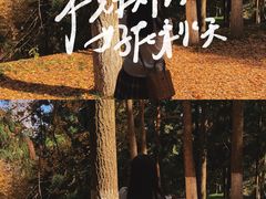 -莫干山风景区