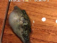 -大地春饼店(黄河路店)