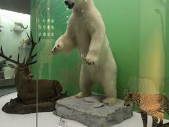 -国家自然博物馆