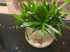 -青岛富力艾美酒店-乐美中餐厅创意胶东菜