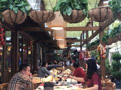 -二荆条·蜀鲜汇城市森林火锅