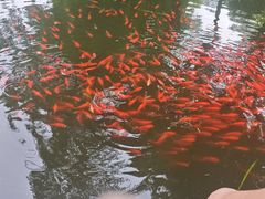 -武汉动物园