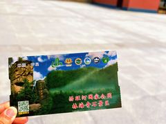 -汤旺河林海奇石景区