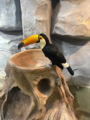 -Zoolung Zoolung动物主题公园(海信广场店)