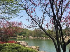 -白马涧龙池景区