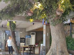 -天怡·鱼工厂(梅溪湖店)