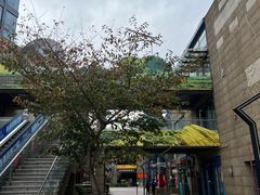 -绿地风尚天地广场