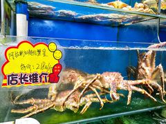 -蚝专家(北滘店)