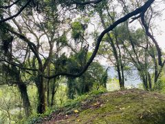 -青芝山风景名胜区