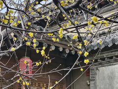 -胡氏古民居建筑