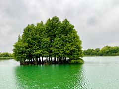 -尚湖风景区