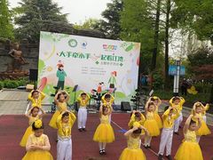 -上海市白玉兰幼儿园