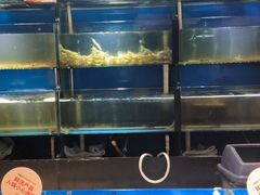 -川骄海鲜自助(亚运村店)