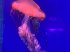 -南昌融创海世界