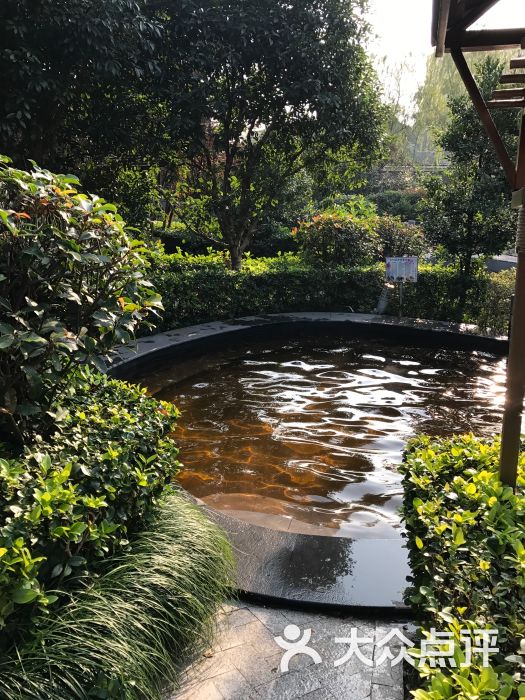 华美达广场酒店樱花温泉-图片-无锡周边游-大众点评网