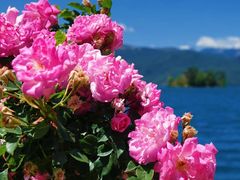 -丽江泸沽湖景区