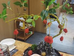 -一朵菌·野生菌探索家火锅(南亚店)