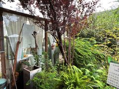 -Jo's Garden