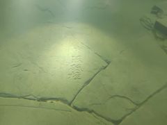 -白鹤梁水下博物馆