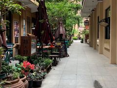 -嘉善老市