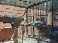 -青藏高原野生动物园