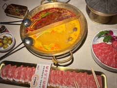 -小龙坎火锅(全球旗舰店)