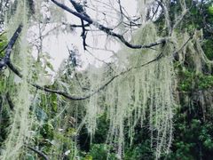 -丽江植物园