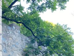 -北京鹫峰国家森林公园