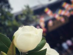 -龙华寺