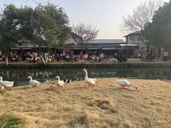 -乌村