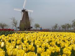 -漩门湾国家湿地公园