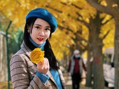 -三里屯东五街银杏大道