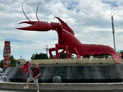 -五七小李子油焖大虾(总店)