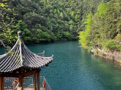 -遂昌金矿国家矿山公园