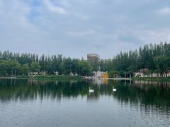-吉林大学(前卫南区)