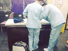 -宠爱国际动物医院·疑难骨科·心肾内科·皮肤科(太阳宫店)