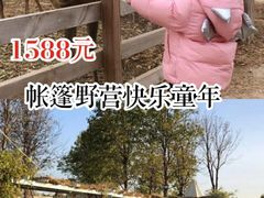 -安德鲁户外烧烤帐篷营地(马泉营店)