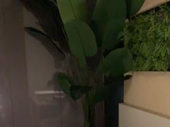 -新紫霞养生·影院足道·SPA(金山区店)