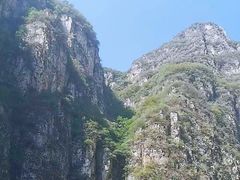 -北京龙庆四季香农家饭庄·灶台鱼·碳烤虹鳟鱼(龙庆峡店)