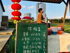 -光明小镇欢乐田园