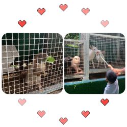 -可可天空农场(中大店)