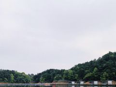 -龙川湾千岛湖国际垂钓中心