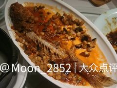 -新侨小馆(东直门北小街店)