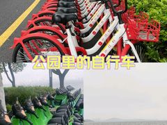 -东湖生态旅游风景区