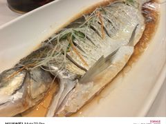 -金典银峰老鹅馆·昆山菜(亭林公园店)