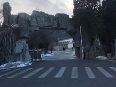 -阳台山自然风景区