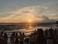 -宝安西湾红树林湿地公园