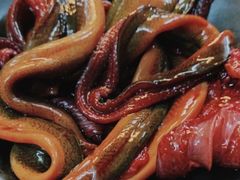 鲜土鳝鱼-安胖老火锅(两路口店)