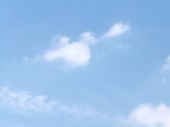 -陈记百年驴肉汤(金耀路店)