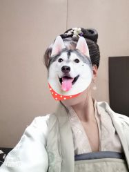 -盘子女人坊古装写真摄影(天津总店)